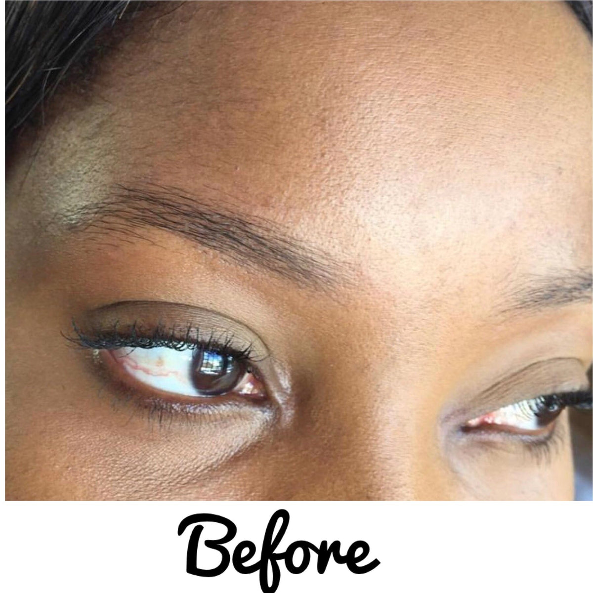 Colors: Dark Brown
