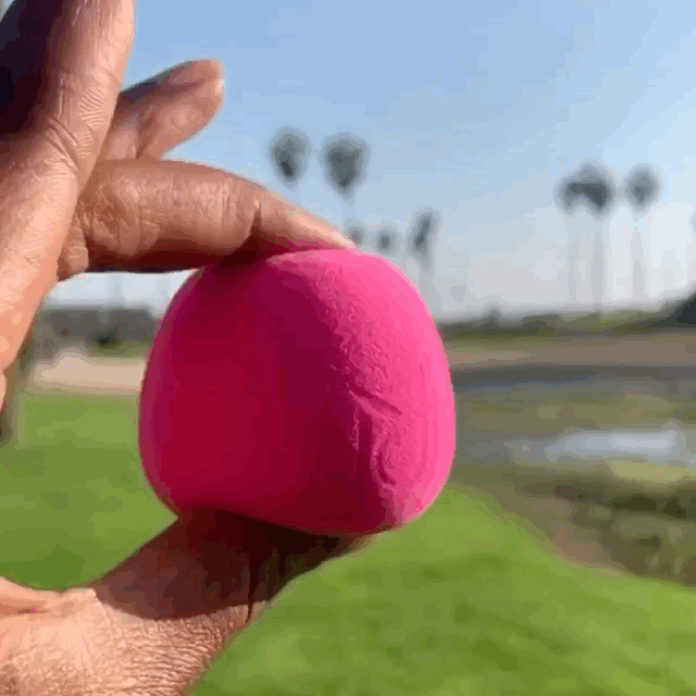 Foundation Blender Sponge